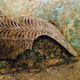 Image for article titled Ancient Greek Warrior's Tomb Yields Eye-Popping Treasures